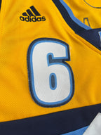 Aaron Afflalo #6 - Denver Nuggets Alternate 2012 - Adidas Swingman (M) - Maillot NBA