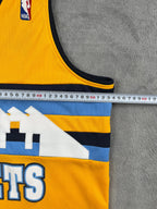Aaron Afflalo #6 - Denver Nuggets Alternate 2012 - Adidas Swingman (M) - Maillot NBA