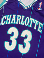 Alonzo Mourning #33 - Charlotte Hornets Alternate 1994-1995 - Champion (L) - Maillot NBA Champion