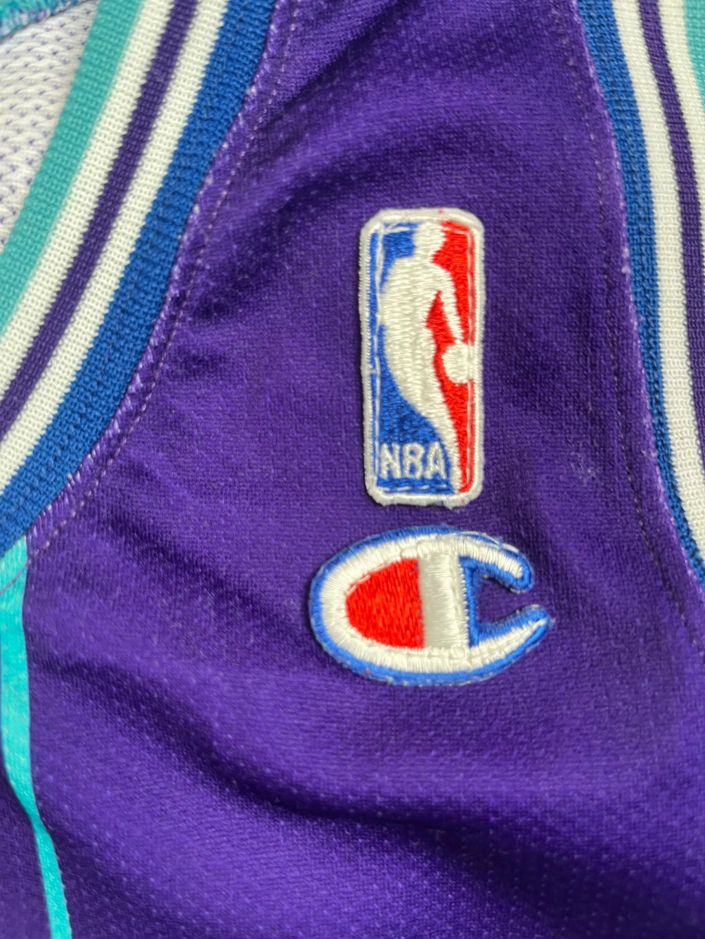 Alonzo Mourning #33 - Charlotte Hornets Alternate 1994-1995 - Champion (L) - Maillot NBA Champion