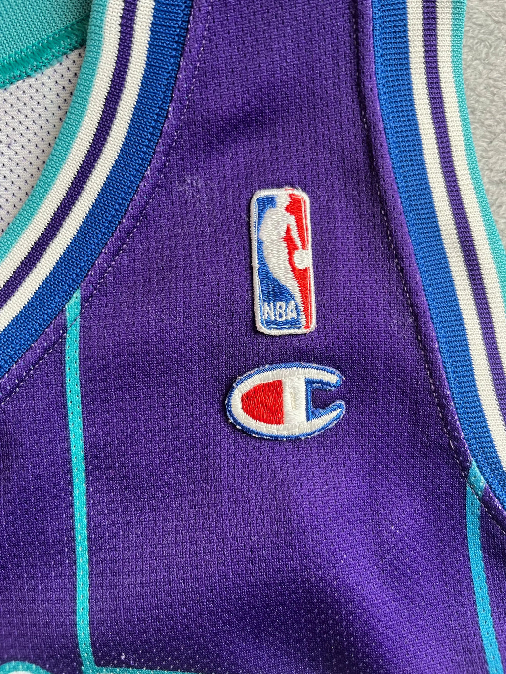 Alonzo Mourning #33 - Charlotte Hornets Alternate 1994-1995 - Champion (M) - Maillot NBA Champion