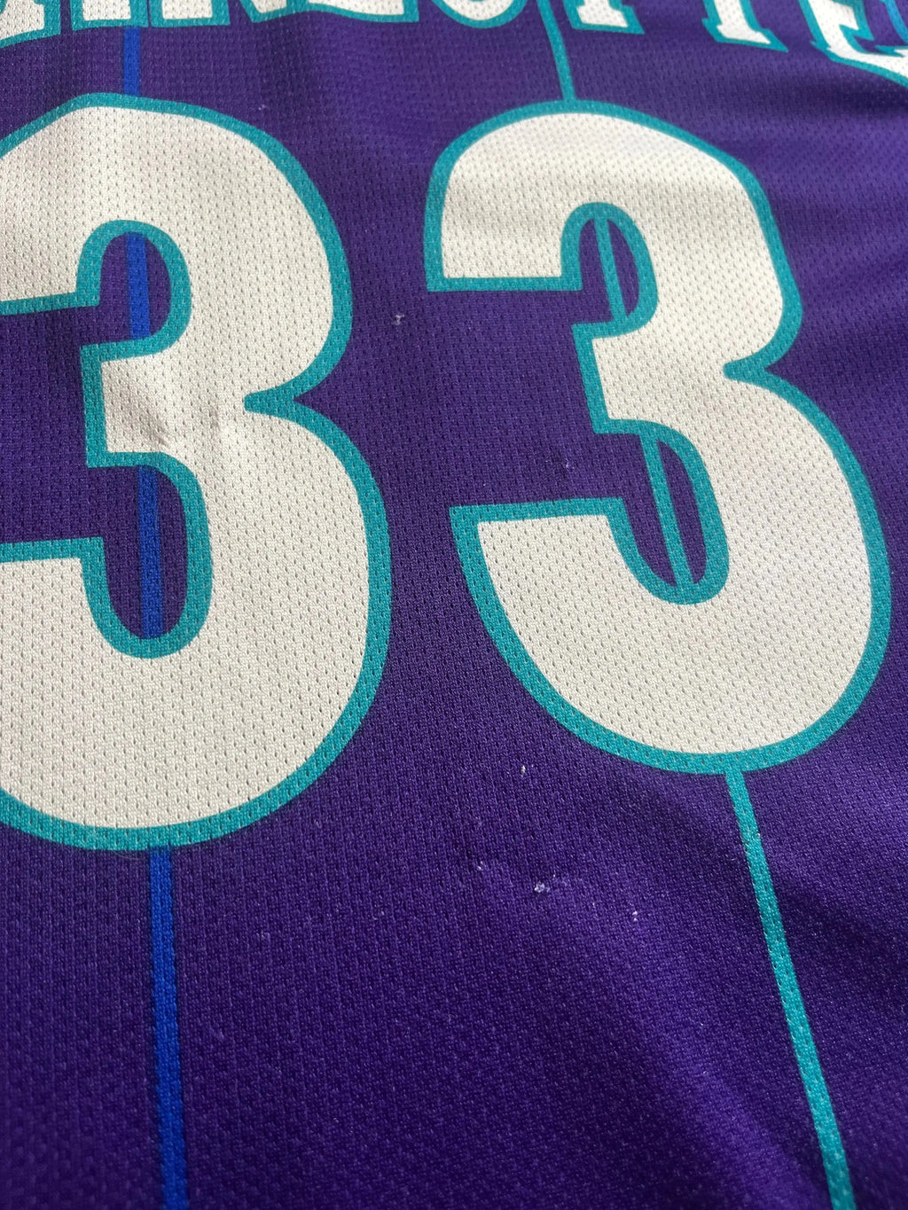 Alonzo Mourning #33 - Charlotte Hornets Alternate 1994-1995 - Champion (M) - Maillot NBA Champion
