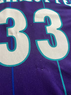 Alonzo Mourning #33 - Charlotte Hornets Alternate 1994-1995 - Champion (M) - Maillot NBA Champion