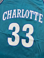 Alonzo Mourning #33 - Charlotte Hornets Away 1993-1995 - Champion (L) - Maillot NBA
