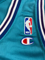 Alonzo Mourning #33 - Charlotte Hornets Away 1993-1995 - Champion (L) - Maillot NBA