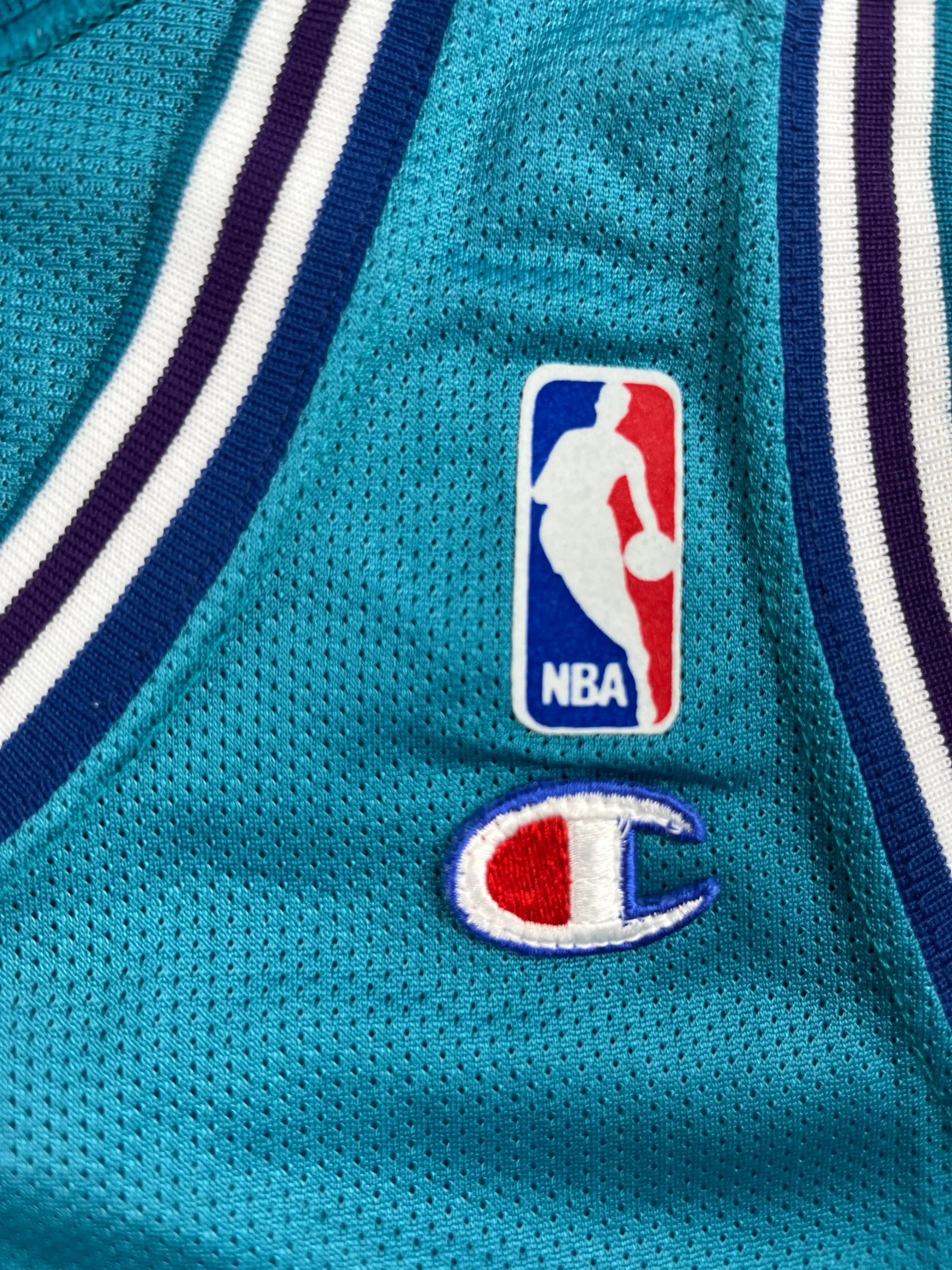 Alonzo Mourning #33 - Charlotte Hornets Away 1993-1995 - Champion (L) - Maillot NBA