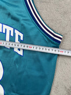 Alonzo Mourning #33 - Charlotte Hornets Away 1993-1995 - Champion (L) - Maillot NBA