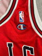 Ben Gordon #7 - Chicago Bulls Away 2004-2009 - Champion (M) - Maillot NBA
