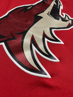 Maillot NHL - Arizona Coyotes Home/Third 2017-2022 - Fanatics (XL)