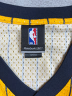 Ron Artest #15 - Indiana Pacers Alternate 2003-2005 - Reebok (M) - Maillot NBA Reebok