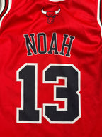 Joakim Noah #13 - Chicago Bulls Away 2008-2010 - Champion (M) - Maillot NBA Champion