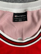 Dennis Rodman #91 - Chicago Bulls Away 1995-1998 - Champion (XXL) - Maillot NBA