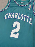 Larry Johnson #2 - Charlotte Hornets Away 1991-1996 - Champion (L) Champion
