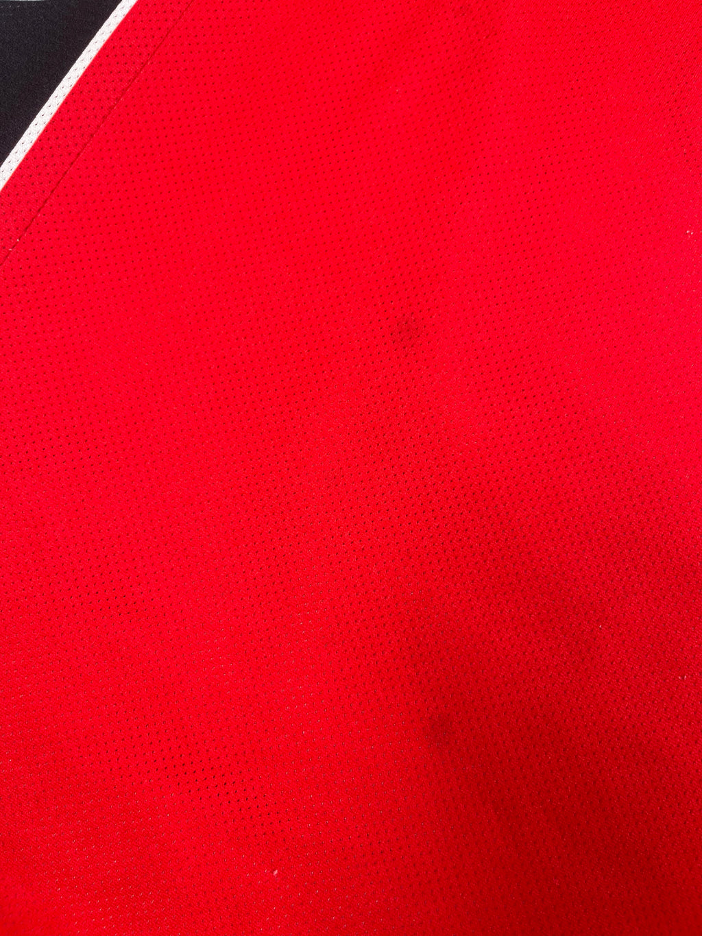 Marco Belinelli #0 - Toronto Raptors Away 2009-2010 - Champion (L) Champion