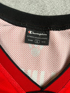 Marco Belinelli #0 - Toronto Raptors Away 2009-2010 - Champion (L) Champion