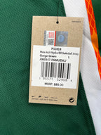 James #6 - Florida A&M Rattlers NCAA SWAC - Nike LeBron (L) - Maillot NBA *BNWT*