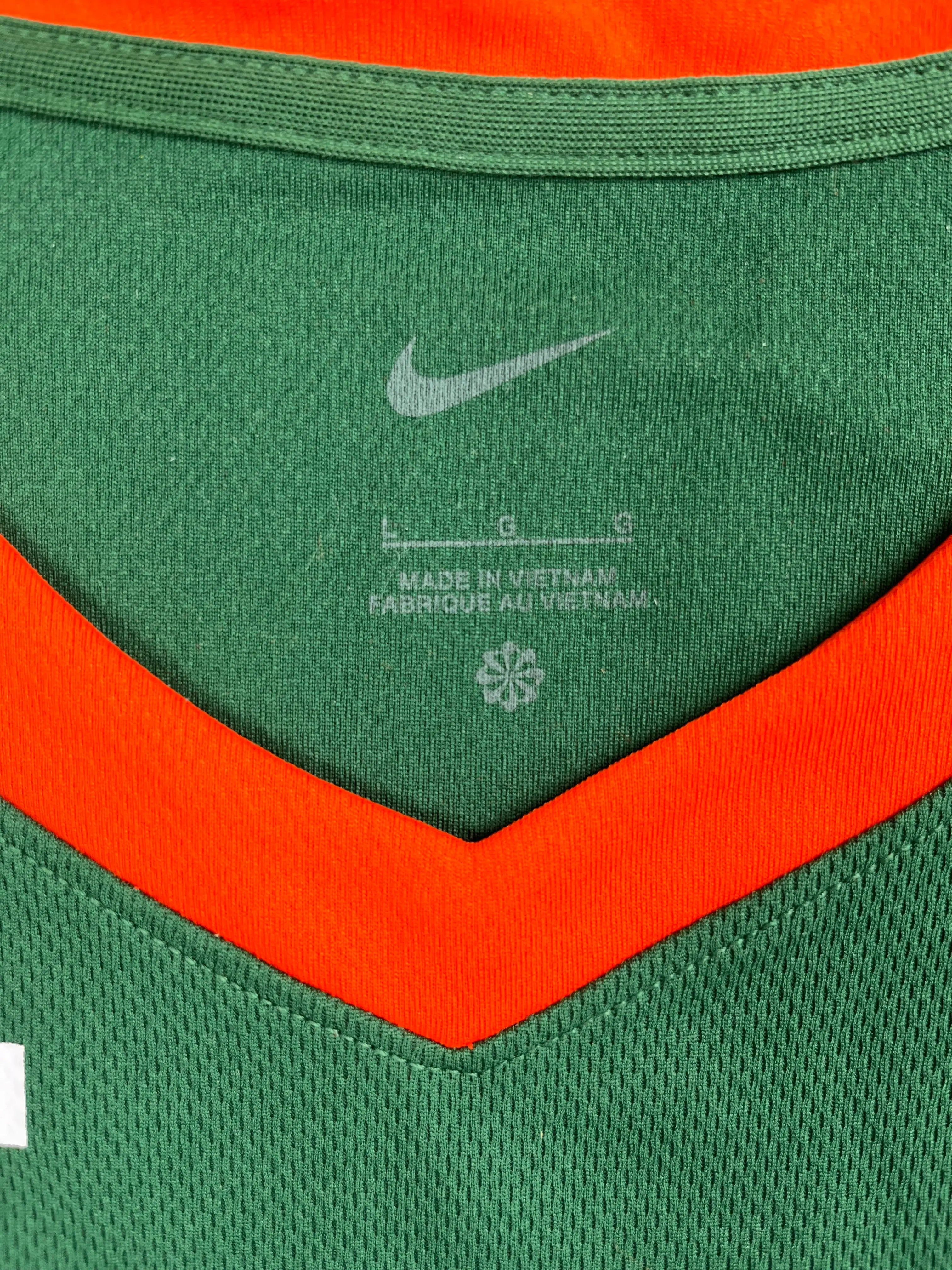 James #6 - Florida A&M Rattlers NCAA SWAC - Nike LeBron (L) - Maillot NBA *BNWT*