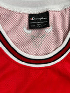 Joakim Noah #13 - Chicago Bulls Away 2008-2010 - Champion (L) - Maillot NBA