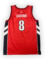 José Calderon #8 - Toronto Raptors Away 2007-2013 - Champion (XL) - Maillot NBA Champion