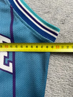 Larry Johnson #2 - Charlotte Hornets Away 1992-1996 - Champion (XS) - Maillot NBA