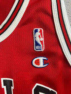 Michael Jordan #45 - Chicago Bulls Away 1995 - Champion (M) - Maillot NBA Champion