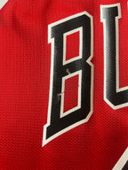Michael Jordan #45 - Chicago Bulls Away 1995 - Champion (M) - Maillot NBA Champion