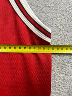 Michael Jordan #45 - Chicago Bulls Away 1995 - Champion (M) - Maillot NBA Champion